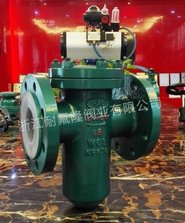 篮式过滤器