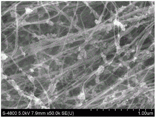 氧化硅复合硼掺杂碳纳米管薄膜及其制备方法和应用