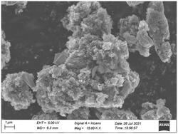氮掺杂协同导电聚合物改性硅碳复合负极材料及制备方法