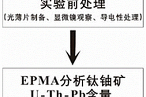 利用电子探针化学分析测定钛铀矿年龄的方法