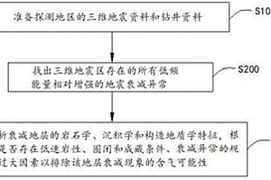 非气藏地震波衰减异常的地质成因排除方法