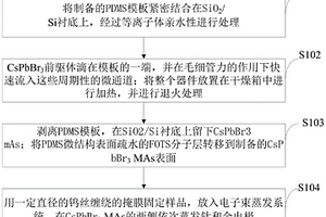 微米线阵列高性能钙钛矿型光电探测器、制备方法及应用