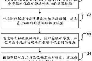 基于AMT的菱锰矿成矿强度定量预测方法及系统