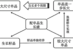 低温溶液中生长ABX3钙钛矿单晶的方法