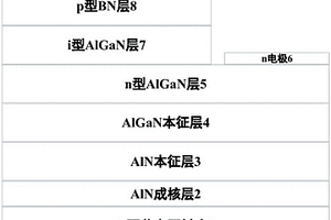 p-BN/i-AlGaN/n-AlGaN的紫外探测器及制作方法