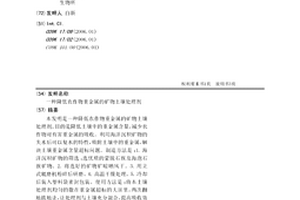 自磨机顽石旁路高压辊磨工艺