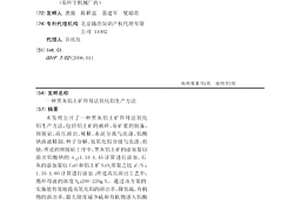 新式振动器