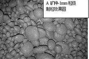 复合胶凝材料结合碳酸化养护技术制备工业固废基免烧砖的方法