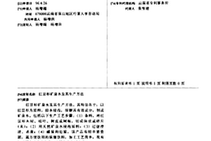 纯水伴侣及制备工艺