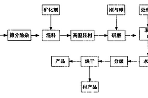 脏杂煤处理设备