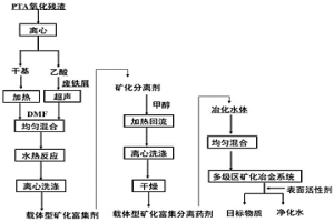 载体型矿化富集分离药剂及其制备方法和应用