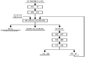 联合法处理含铜镍污泥的工艺