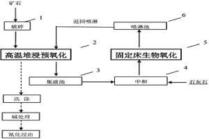 难处理金矿生物堆浸预氧化方法