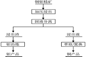 复杂铜钼矿的处理方法