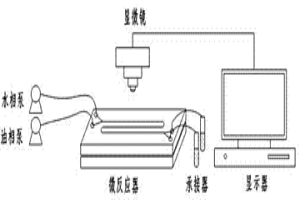 萃取分离In和Fe、Zn的微流体萃取方法