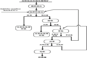 高铁低品位硫化镍矿选择性生物浸出工艺