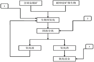 利用高砷离子耐受性浸矿微生物进行含砷难浸金矿微生物预氧化的方法
