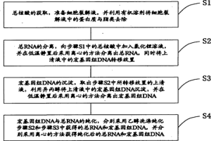 分离微生物宏基因组DNA与总RNA的方法