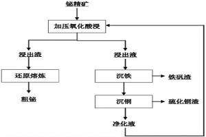 加压酸浸分离铋精矿中铋和铜铁的方法