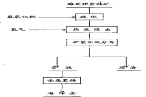 从难处理金精矿中提取金的方法