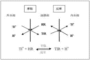 乳状液膜分离去除钢铁冶金烧结烟气脱硫废水中重金属铊的方法
