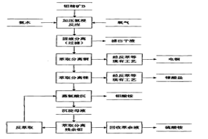 通过加压氨浸从钼精矿中提取钼酸铵的方法