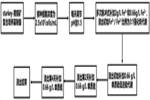 基于铁硫代谢调控促进黄铜矿生物浸出的方法
