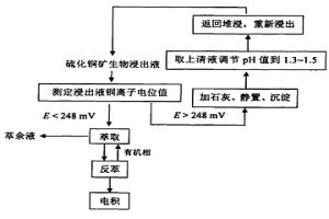 应用离子选择电极控制硫化铜矿生物浸出液萃取过程中第三相形成的工艺