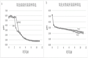 嗜酸性混合菌种及其快速制备方法和应用