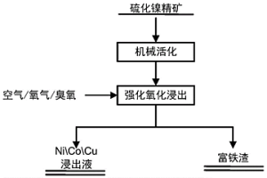 低温常压选择性提取硫化镍精矿中有价金属的方法