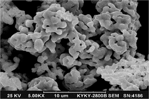 大FSSS粒径镍粉及其制备方法