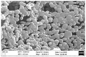 纳米尺度高性能硬质合金抑制剂及其制备方法