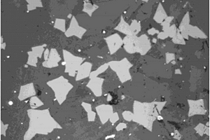 促进高钛型高炉渣中钛富集于钙钛矿相的添加剂以及方法