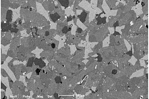 促进高钛型高炉渣中钙钛矿相增大的添加剂以及方法