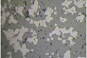 促进含钛高炉渣中钙钛矿相增大的晶种和方法