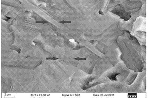 原位一体化制备硼化钛晶须、颗粒协同增韧氮化钛基陶瓷刀具材料及其制备方法