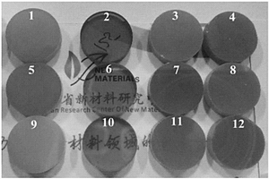 Ho掺杂的透明氧化钪陶瓷及其制备方法