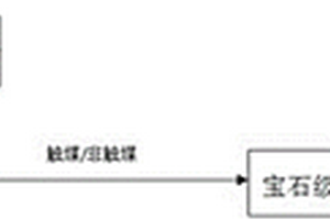 生命钻石的制备方法
