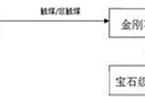 生命钻石的制备工艺