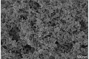 新型的制备铽铝石榴石基纳米粉体及磁光透明陶瓷的方法