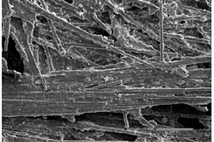 碳纳米管改性碳纤维增强SiBCN陶瓷复合材料的制备方法及应用