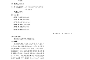 无硅浸入式水口及其制造方法