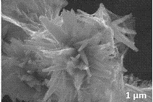 氧化锌纳米花-石墨烯复合材料的制备及应用
