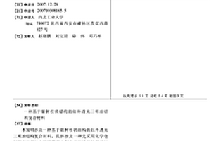 基于银树枝状结构的红外透光三明治结构复合材料