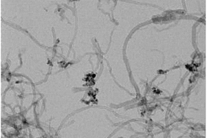 碳纳米管基复合填料及其制备方法和一种环氧树脂基电磁屏蔽纳米复合材料