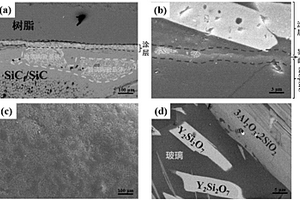 联合提高SiC<sub>f</sub>/SiC复合材料高温抗水氧腐蚀性能的方法