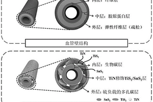 硫负载的碳包覆TiN修饰TiS2/SnS2/生物碳复合材料、制备方法及应用