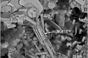 C/C-Si复合材料表面生长辐射状纳米线及在常温下的制备方法