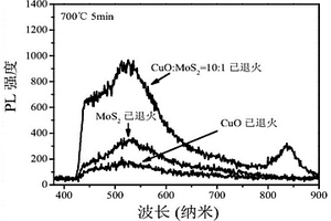 具有高光电性能的CuO基复合材料