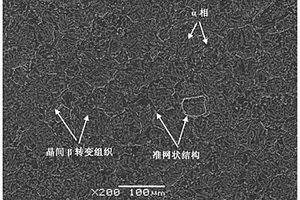 高塑性准网状结构钛基复合材料及其制备方法
